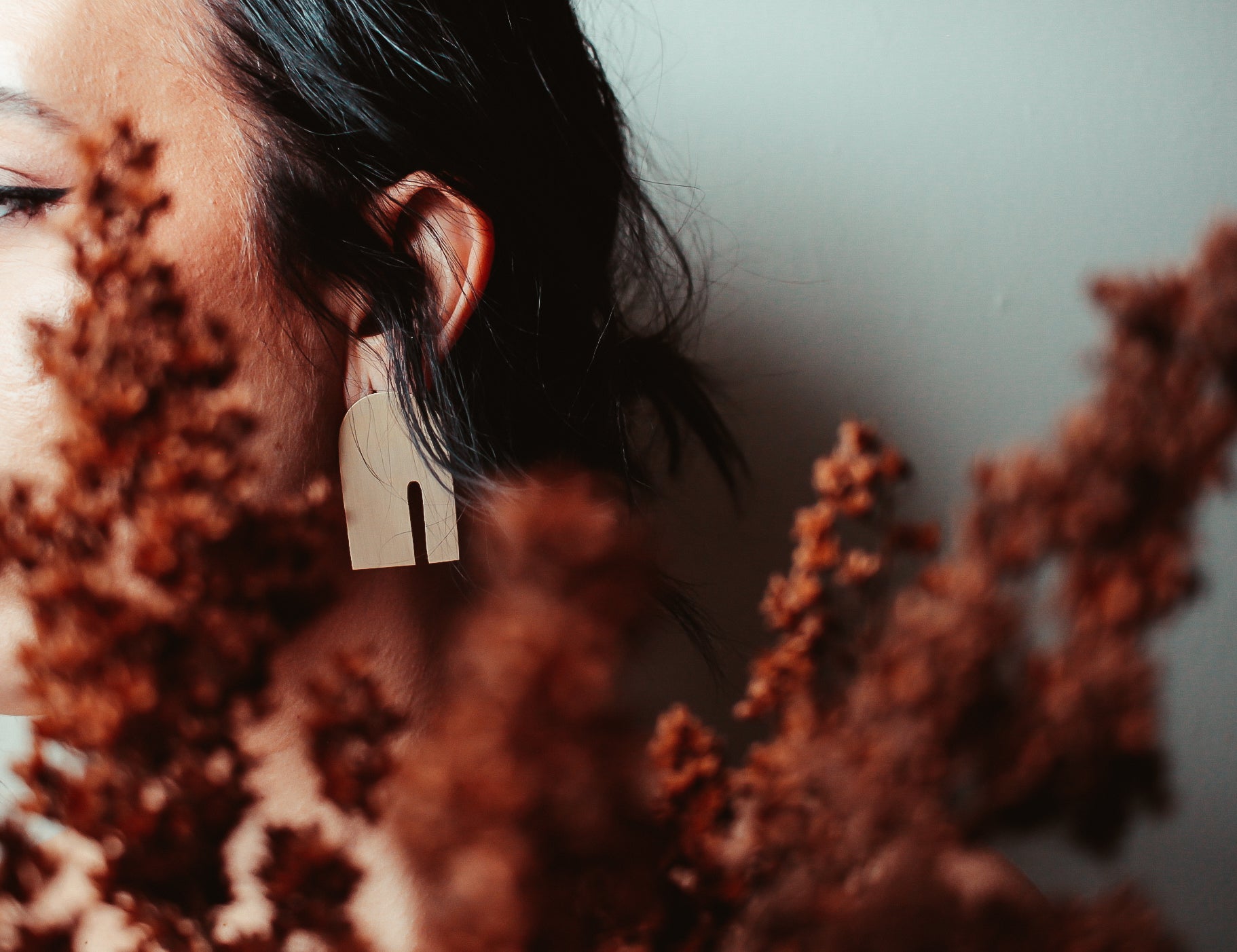 Brushed Nova Earrings