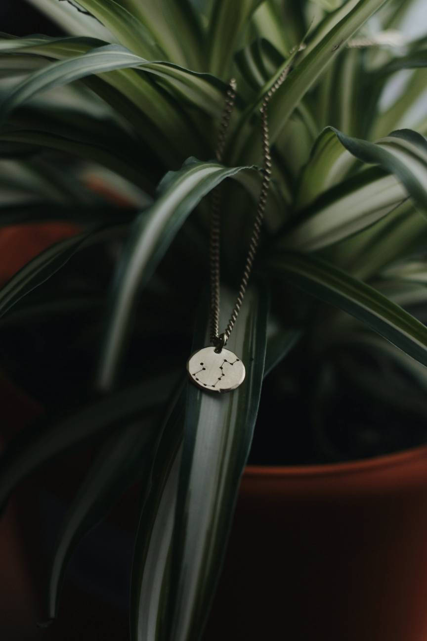 Brass Zodiac Constellation Necklace